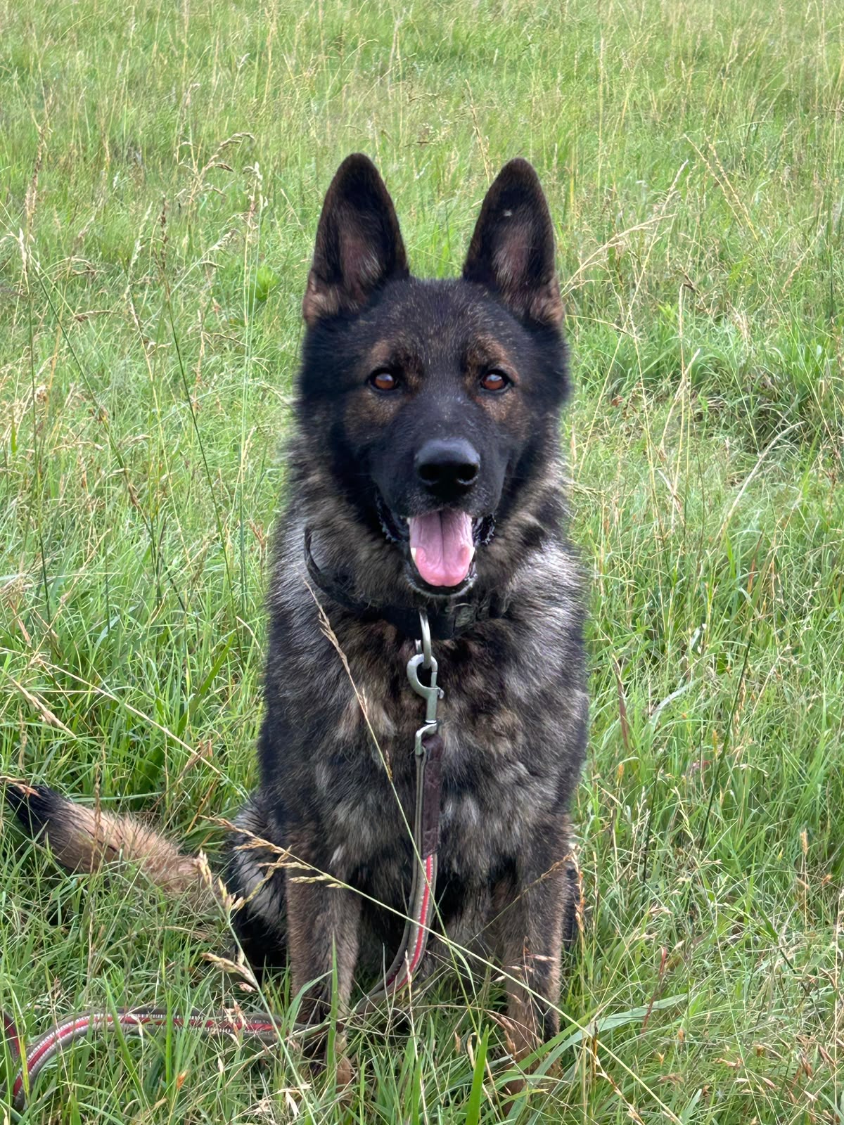 The Dam in training